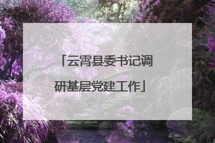 云霄县委书记调研基层党建工作