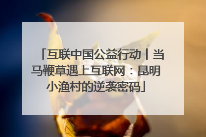 互联中国公益行动丨当马鞭草遇上互联网：昆明小渔村的逆袭密码