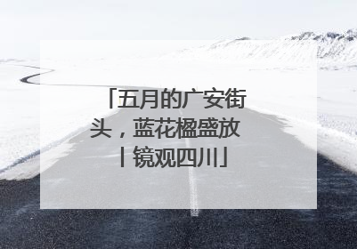 五月的广安街头，蓝花楹盛放丨镜观四川