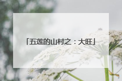 五莲的山村之：大旺