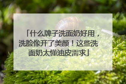 什么牌子洗面奶好用，洗脸像开了美颜！这些洗面奶太懂油皮需求