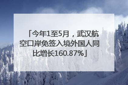 今年1至5月，武汉航空口岸免签入境外国人同比增长160.87%