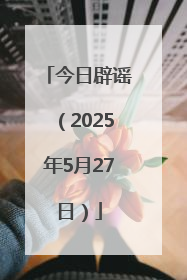 今日辟谣（2025年5月27日）