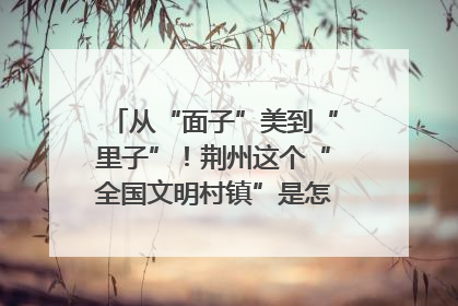 从“面子”美到“里子”！荆州这个“全国文明村镇”是怎样炼成的？