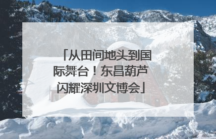 从田间地头到国际舞台！东昌葫芦闪耀深圳文博会