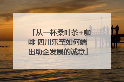 从一杯桑叶茶+咖啡 四川乐至如何端出助企发展的诚意