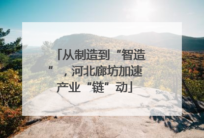 从制造到“智造”，河北廊坊加速产业“链”动