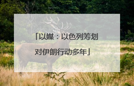 以媒：以色列筹划对伊朗行动多年