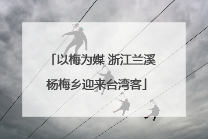 以梅为媒 浙江兰溪杨梅乡迎来台湾客