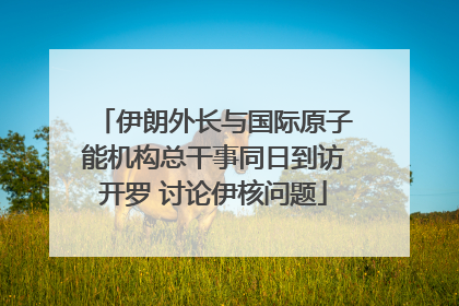 伊朗外长与国际原子能机构总干事同日到访开罗 讨论伊核问题
