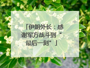 伊朗外长：感谢军方战斗到“最后一刻”