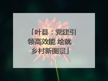 叶县：党建引领高效能 绘就乡村新图景