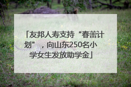友邦人寿支持“春蕾计划”，向山东250名小学女生发放助学金
