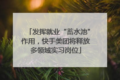 发挥就业“蓄水池”作用，快手美团将释放多领域实习岗位