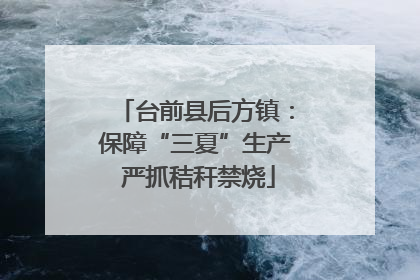 台前县后方镇：保障“三夏”生产 严抓秸秆禁烧
