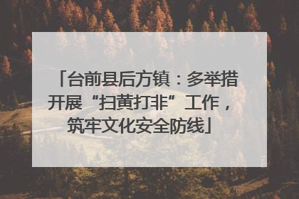 台前县后方镇：多举措开展“扫黄打非”工作，筑牢文化安全防线