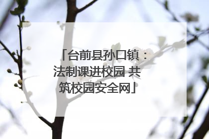 台前县孙口镇：法制课进校园 共筑校园安全网