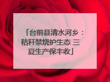 台前县清水河乡：秸秆禁烧护生态 三夏生产保丰收
