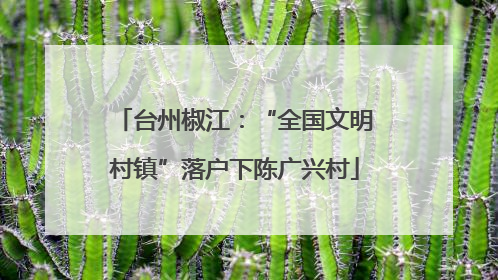 台州椒江：“全国文明村镇”落户下陈广兴村