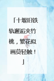 十堰旧铁轨邂逅夹竹桃，繁花似画莫轻触！