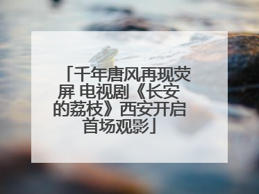 千年唐风再现荧屏 电视剧《长安的荔枝》西安开启首场观影