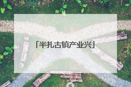 半扎古镇产业兴