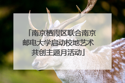 南京栖霞区联合南京邮电大学启动校地艺术共创主题月活动