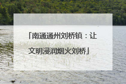 南通通州刘桥镇：让文明浸润烟火刘桥