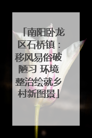南阳卧龙区石桥镇：移风易俗破陋习 环境整治绘就乡村新图景