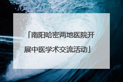 南阳哈密两地医院开展中医学术交流活动