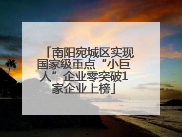 南阳宛城区实现国家级重点“小巨人”企业零突破1家企业上榜