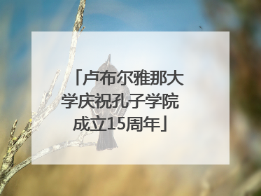 卢布尔雅那大学庆祝孔子学院成立15周年