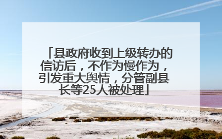 县政府收到上级转办的信访后，不作为慢作为，引发重大舆情，分管副县长等25人被处理