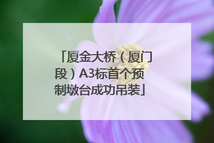 厦金大桥（厦门段）A3标首个预制墩台成功吊装