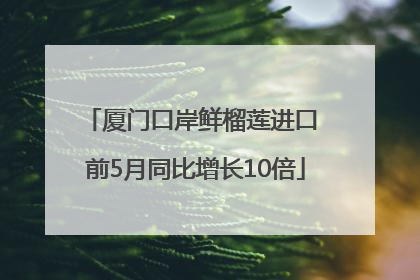 厦门口岸鲜榴莲进口 前5月同比增长10倍