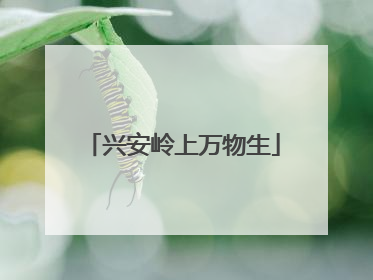 兴安岭上万物生