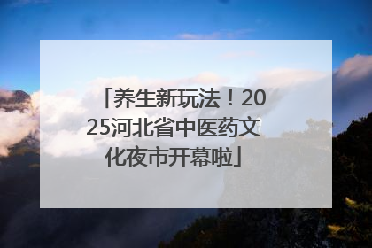 养生新玩法！2025河北省中医药文化夜市开幕啦