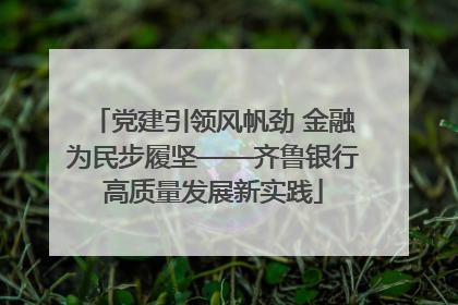 党建引领风帆劲 金融为民步履坚——齐鲁银行高质量发展新实践