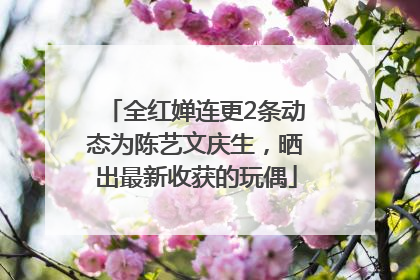 全红婵连更2条动态为陈艺文庆生，晒出最新收获的玩偶