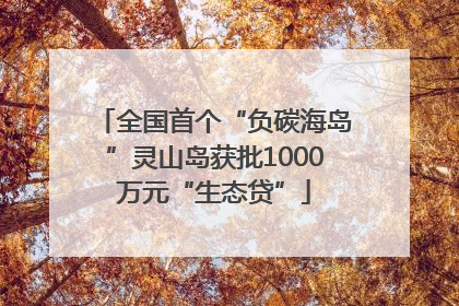 全国首个“负碳海岛”灵山岛获批1000万元“生态贷”