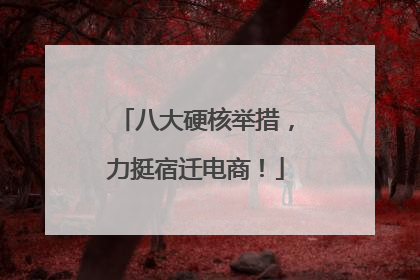 八大硬核举措，力挺宿迁电商！