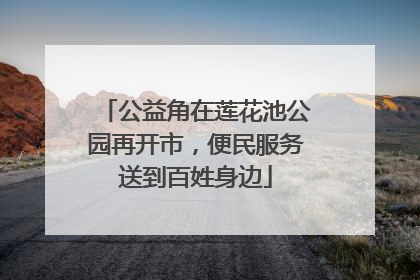 公益角在莲花池公园再开市，便民服务送到百姓身边