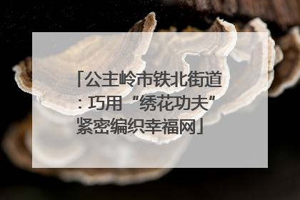 公主岭市铁北街道：巧用“绣花功夫”紧密编织幸福网