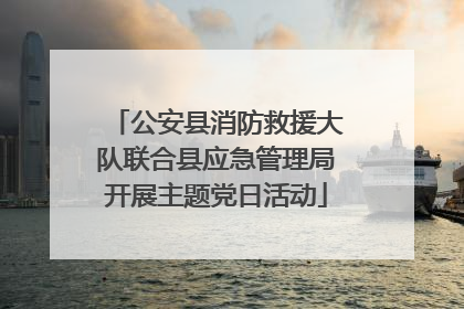 公安县消防救援大队联合县应急管理局开展主题党日活动