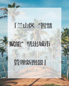 兰山区“智慧赋能”绣出城市管理新图景