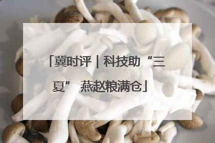 冀时评｜科技助“三夏” 燕赵粮满仓