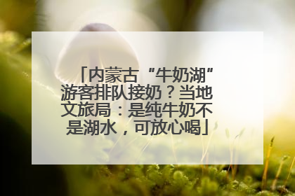 内蒙古“牛奶湖”游客排队接奶？当地文旅局：是纯牛奶不是湖水，可放心喝