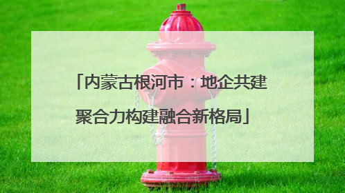 内蒙古根河市：地企共建聚合力构建融合新格局