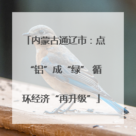 内蒙古通辽市：点“铝”成“绿” 循环经济“再升级”