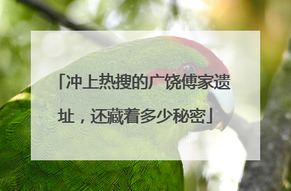 冲上热搜的广饶傅家遗址，还藏着多少秘密